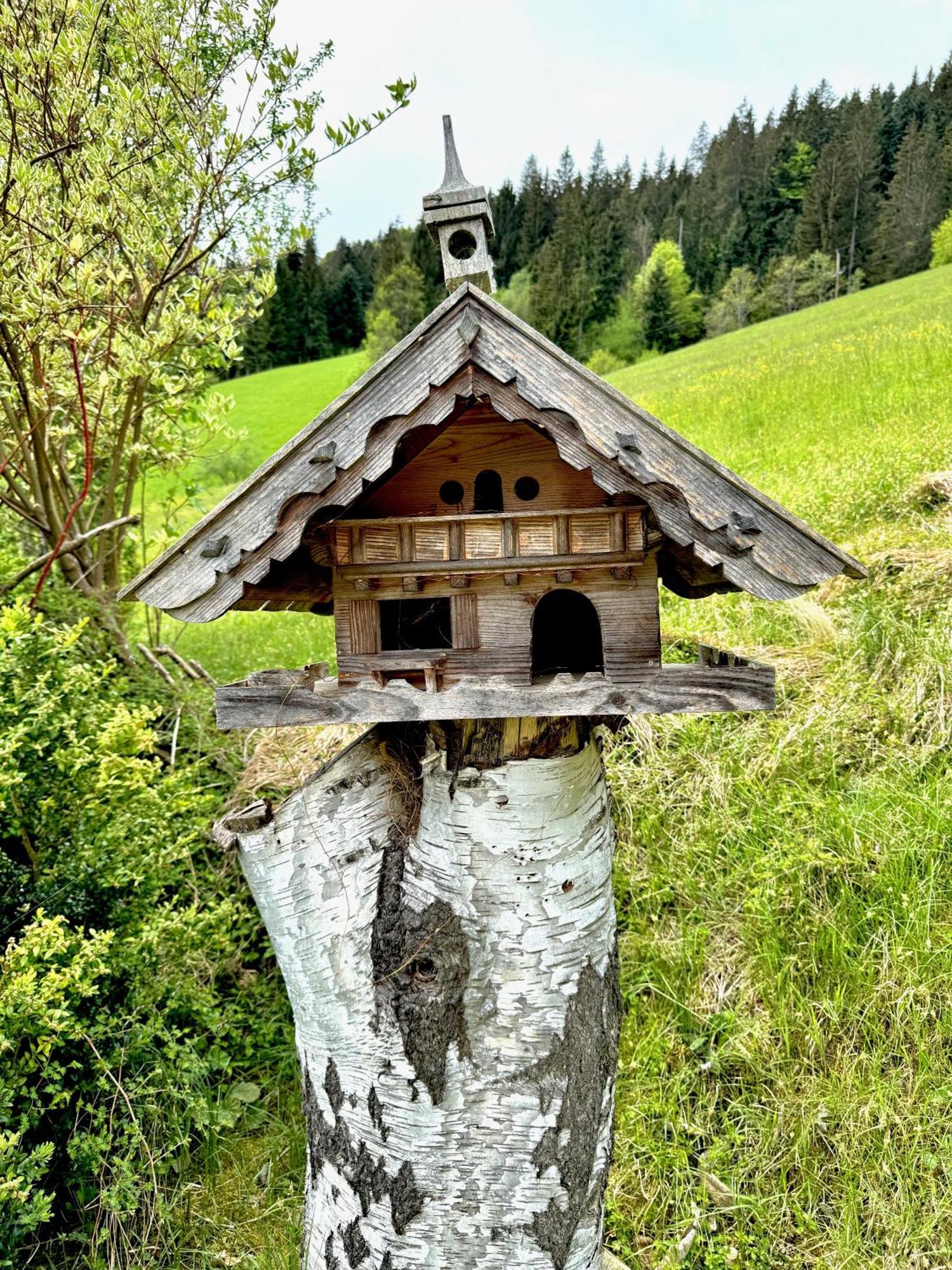 5* Panorama Chalet Mit Sauna By Belle Stay Going am Wilden Kaiser Extérieur photo